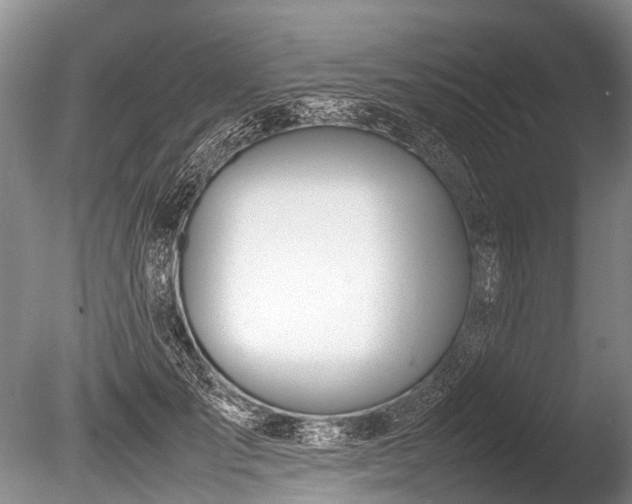 X0000086040701200703301039