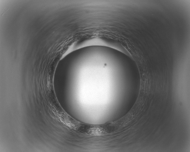 X0000086040704200703301039