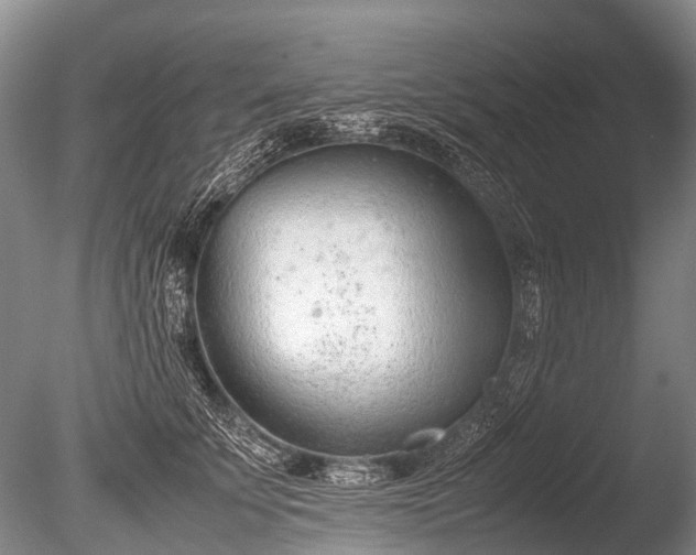 X0000086040707200703301039