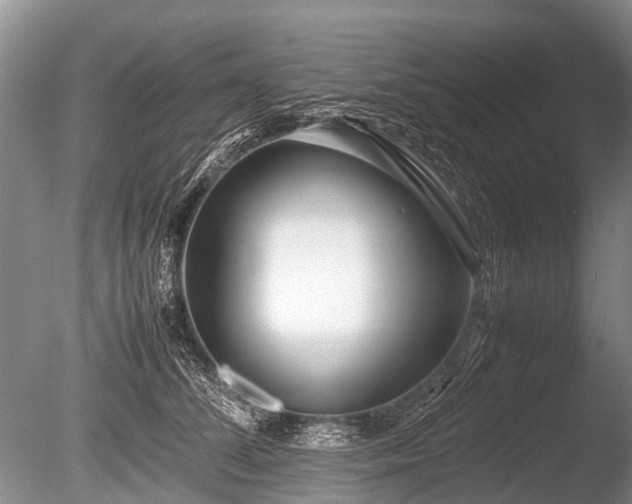 X0000086040708200703301039