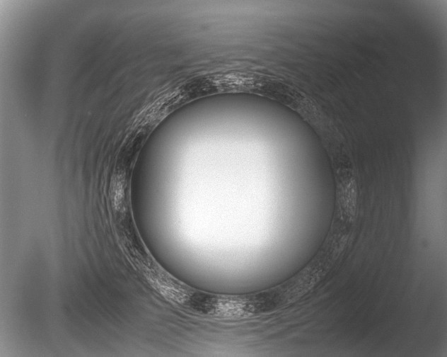 X0000086040709200703301039