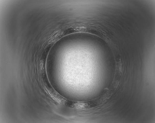 X0000086040711200703301039