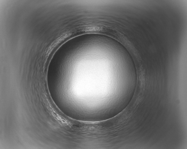 X0000086040721200703301038