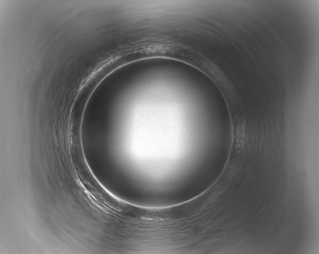 X0000086040722200703301038