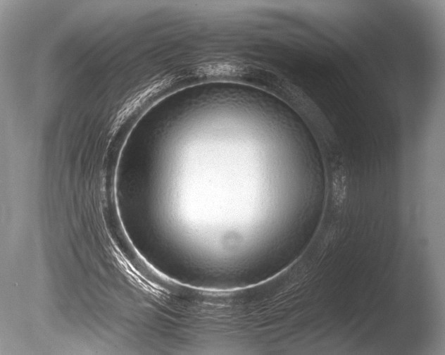 X0000086040725200703301038