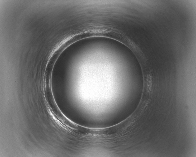 X0000086040726200703301038