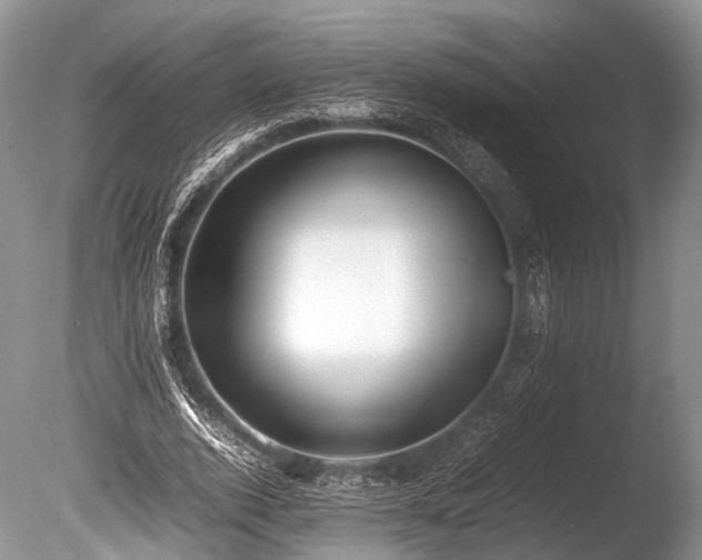 X0000086040728200703301038