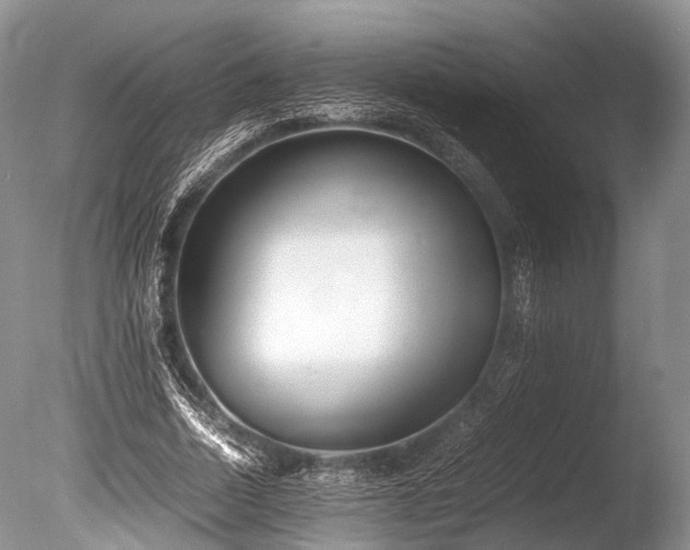 X0000086040730200703301038