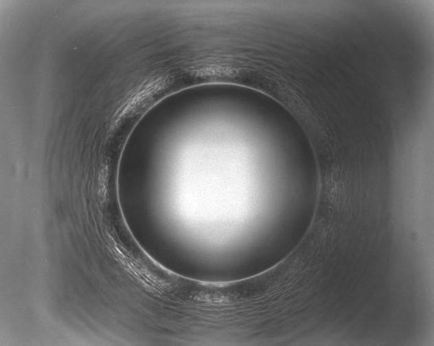X0000086040735200703301039