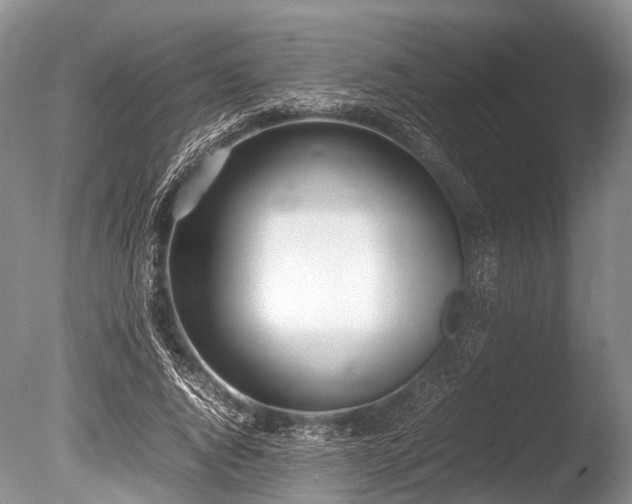 X0000086040736200703301039