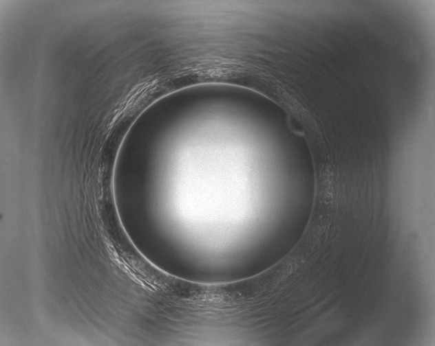 X0000086040738200703301039