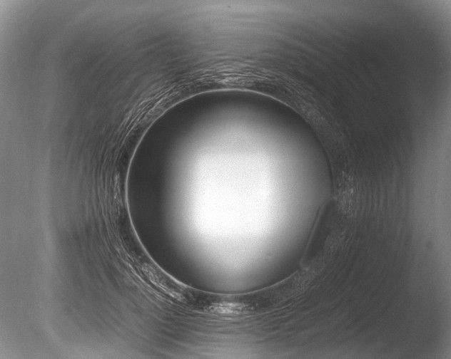 X0000086040748200703301039