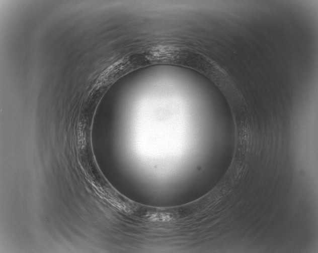 X0000086040751200703301039