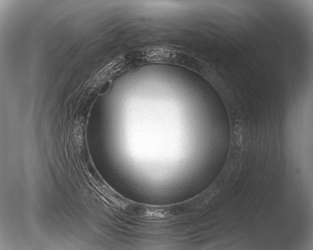 X0000086040753200703301039