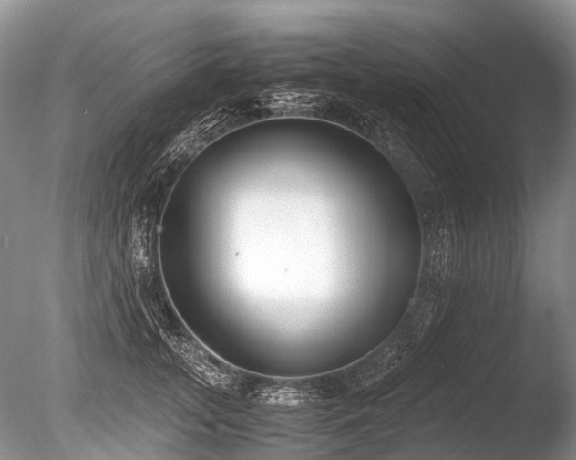X0000086040755200703301039