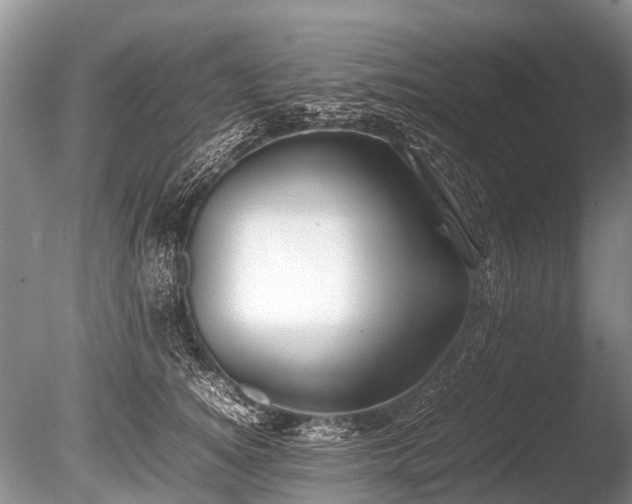 X0000086040756200703301039
