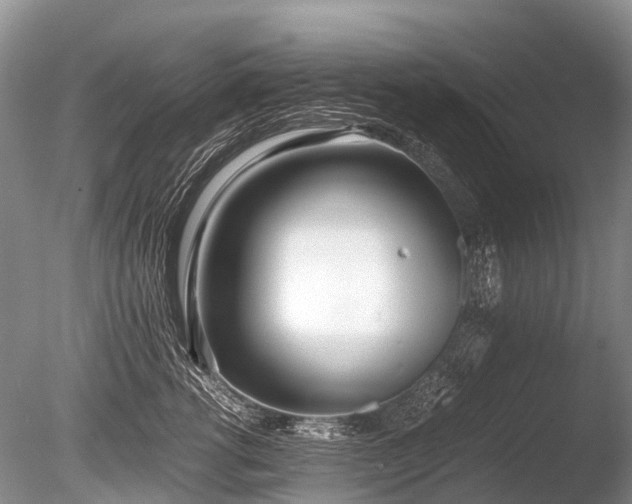 X0000086040762200703301039