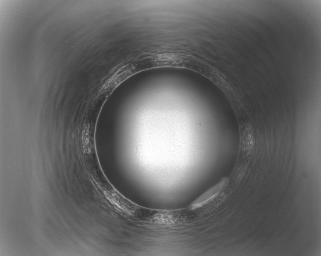 X0000086040764200703301039