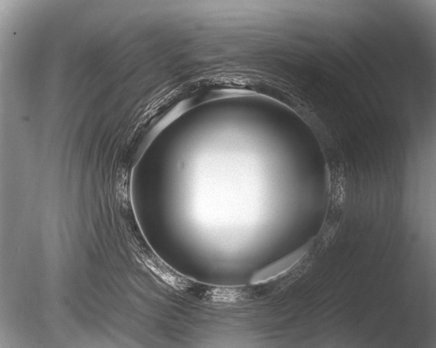 X0000086040766200703301039