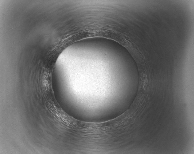 X0000086040770200703301038