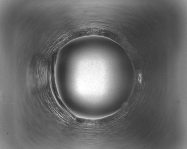 X0000086040771200703301038