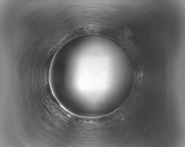 X0000086040772200703301038