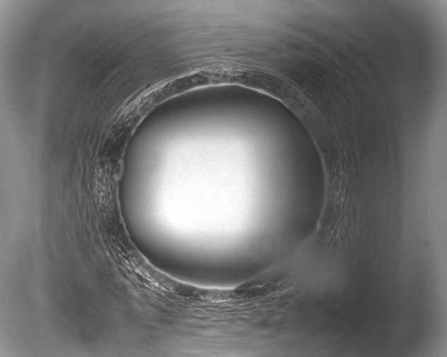 X0000086040773200703301038