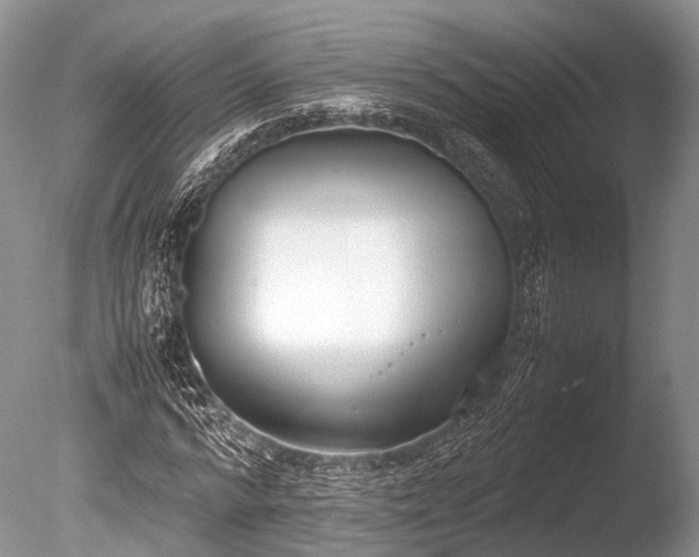 X0000086040776200703301038