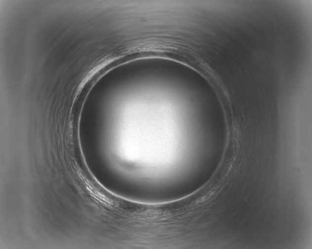 X0000086040779200703301038