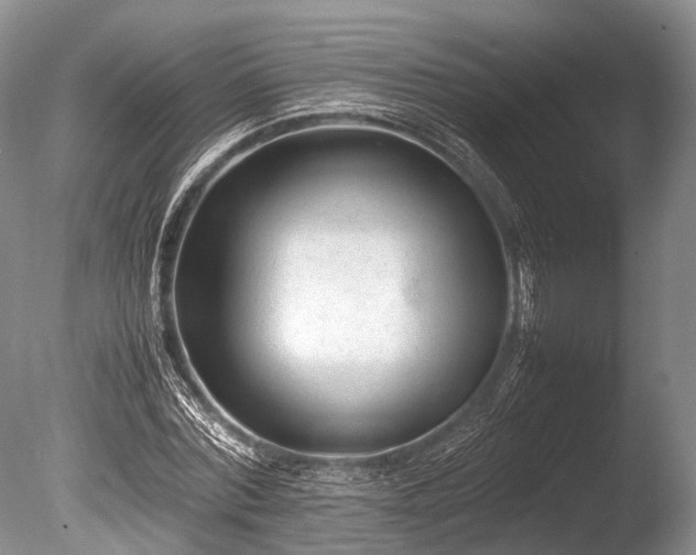 X0000086040780200703301038