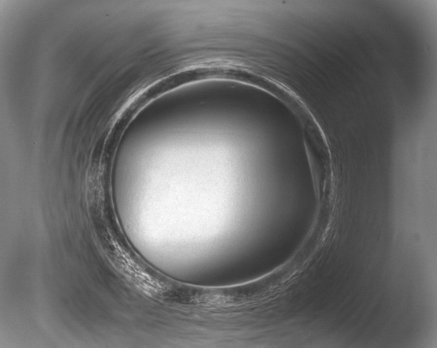 X0000086040783200703301038