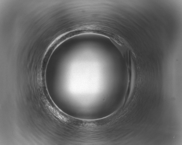 X0000086040784200703301038