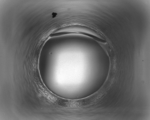 X0000086040785200703301038