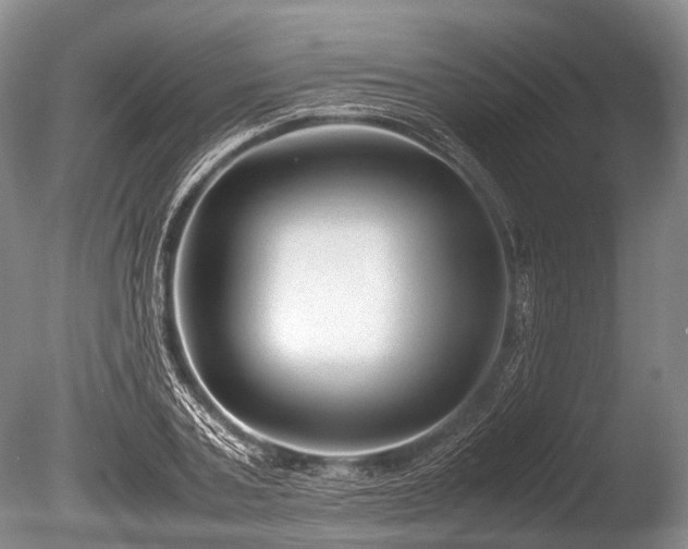 X0000086040787200703301038