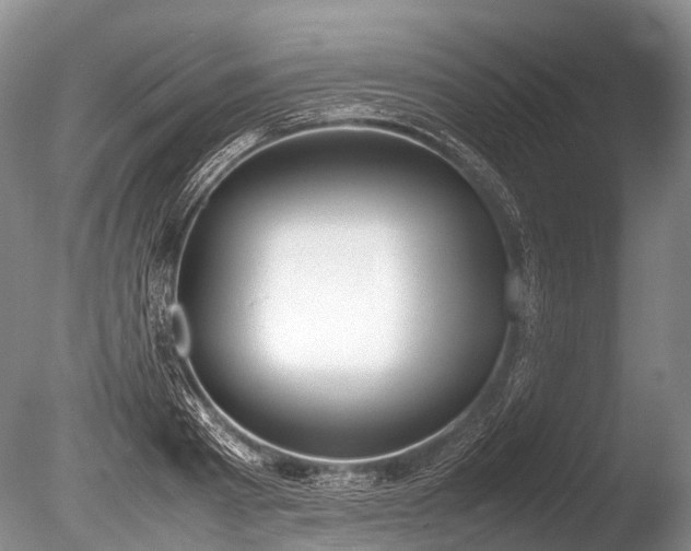 X0000086040793200703301038