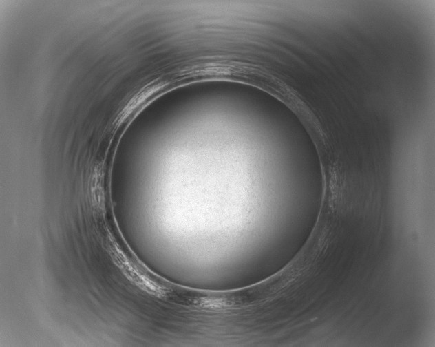 X0000086040794200703301038