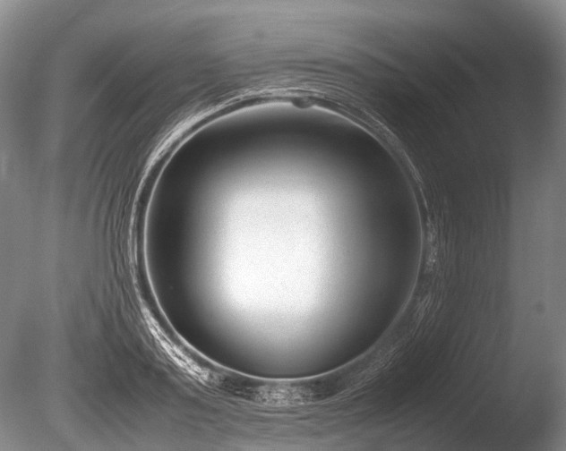 X0000086040795200703301038
