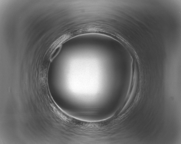 X0000086040801200703301038