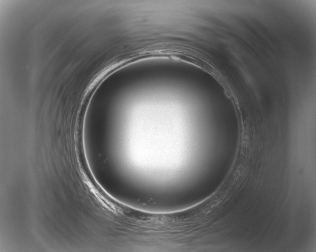 X0000086040803200703301038
