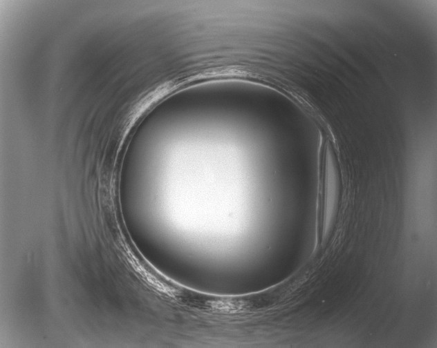 X0000086040805200703301038