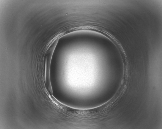 X0000086040809200703301038