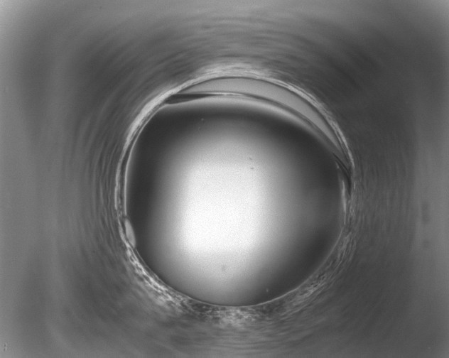 X0000086040815200703301038