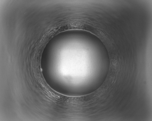 X0000086040817200703301037