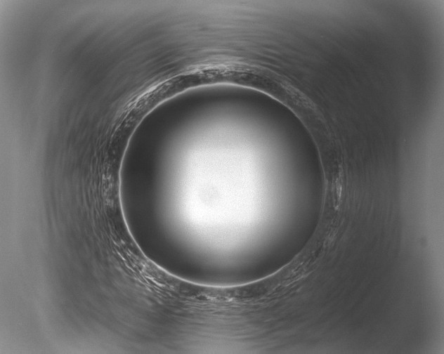 X0000086040822200703301037