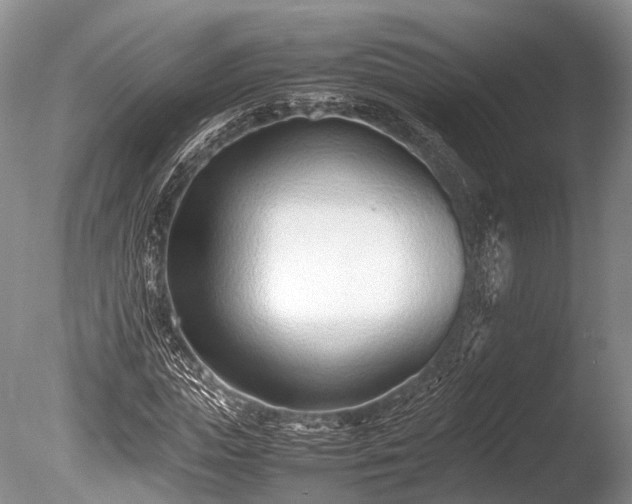 X0000086040823200703301037