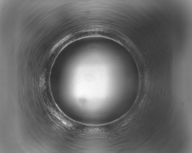 X0000086040826200703301037
