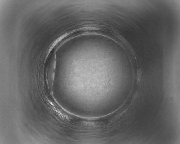 X0000086040829200703301037