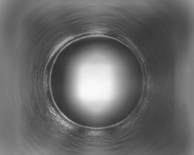 X0000086040835200703301037