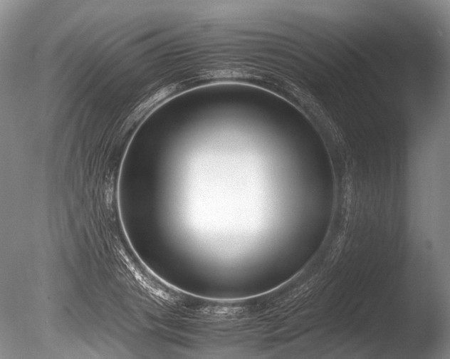 X0000086040841200703301037