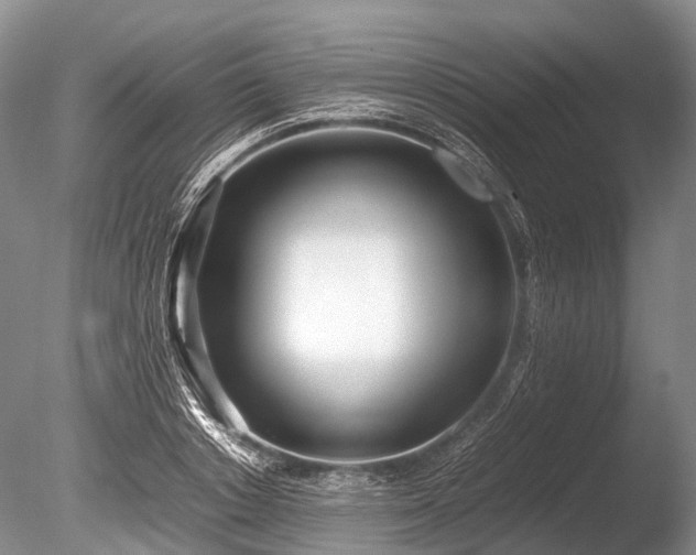 X0000086040842200703301037